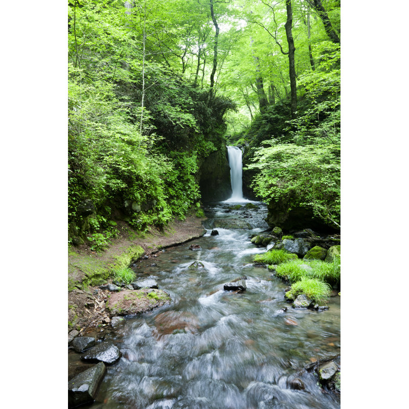 Cascade japonaise par Ooyoo, H 12 po x l 8 po