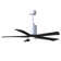Patricia 52'' Ceiling Fan with LED Lights
