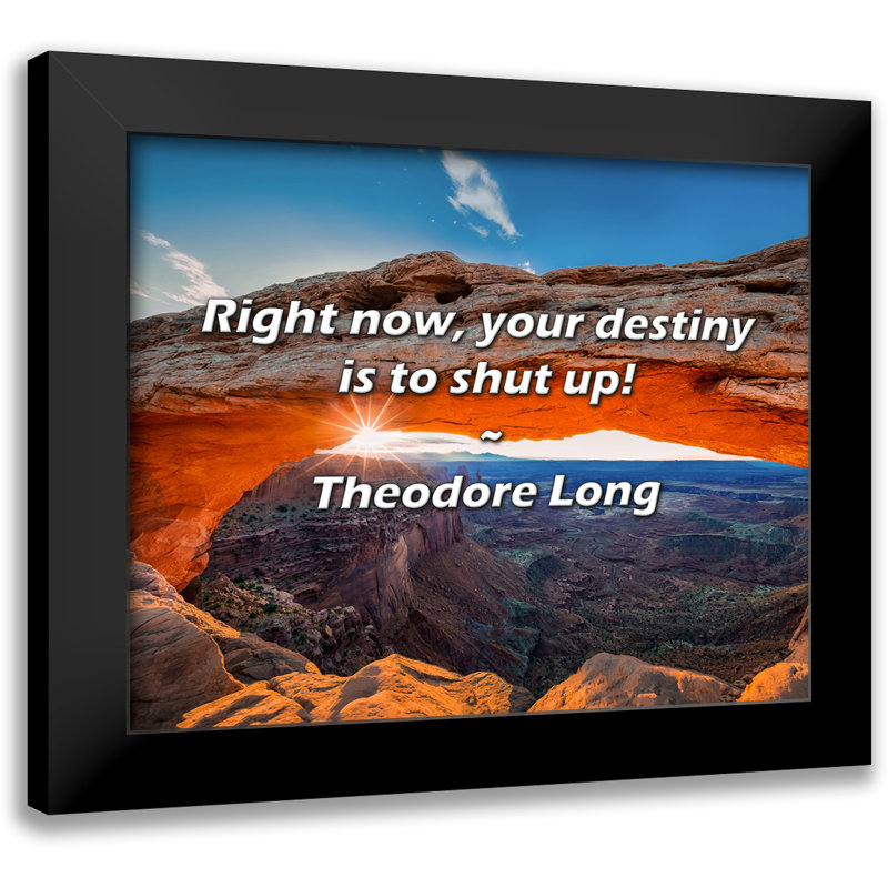 Theodore Long Quote: Right now, your destiny is to shut up!