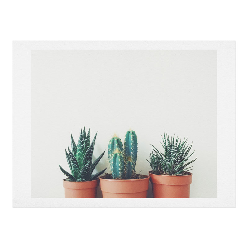 « poted plantes », reproduction de photo, H 8 po x l 10 po x P 2 po, Papier, Blanc