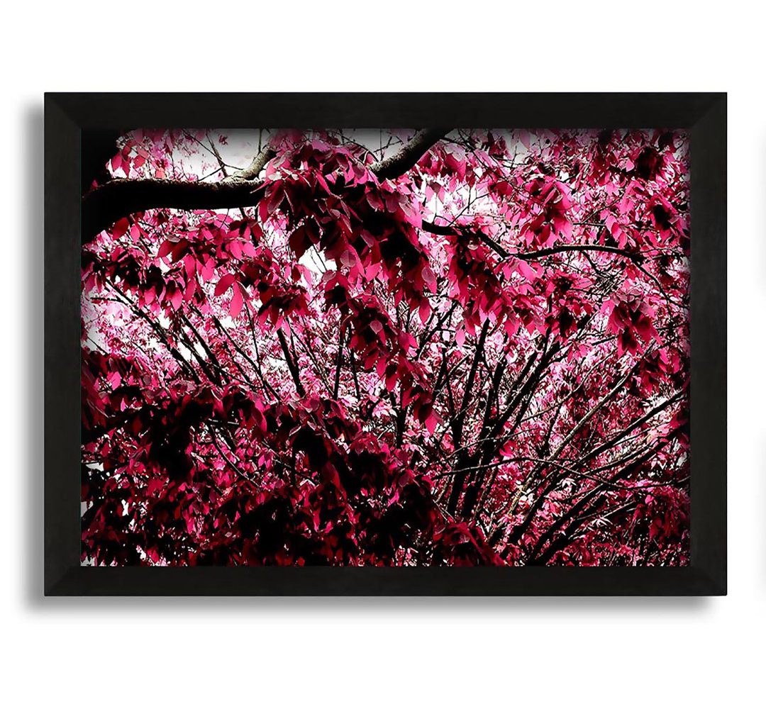 Gerahmtes Leinwandbild Pink Tree