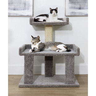 34.5'' H Cat Tree
