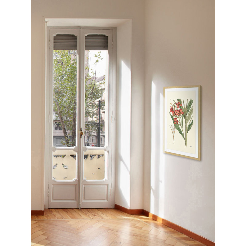 "Antique Floral III", reproduction encadrée, H 30 po x l 20 po x P 1,5 po