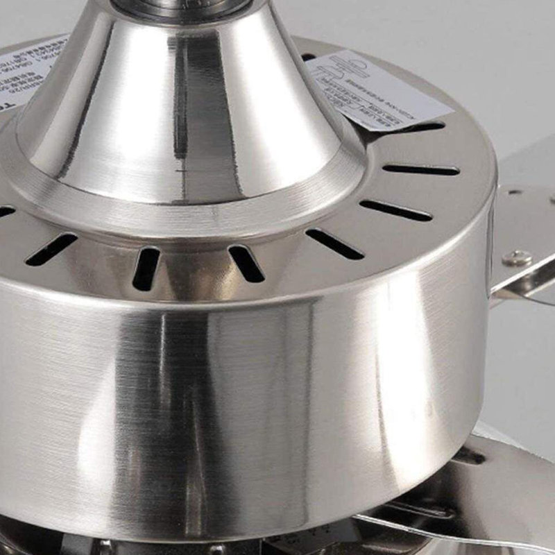 Asterios Ceiling Fan with LED Lights