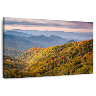 Forêt du parc national du Tennessee