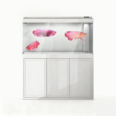 Élégant réservoir d'aquarium écologique à grande échelle