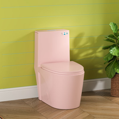 Compact One Piece Modern Elongated Toilet with ADA-Compliant Comfort Height 17.1", Save Water Dual Flush 1.1/1.6 GPF , MAP 1000g (UF Seat Included)