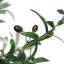 Faux Olive Tree Tree in Pot-72066409