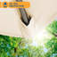 Areonna 270cm Market Parasol-62299307
