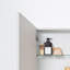Mendocino 450mm W 550mm H Surface Framed Medicine Cabinet Mirror 3 Adjustable-220075640