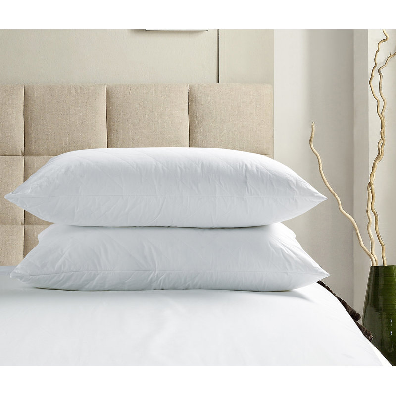 Polyester Sham, Full