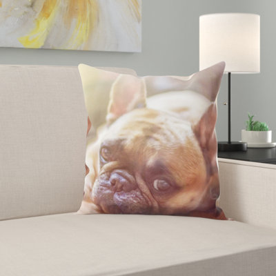 Coussin pour chien