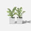 Geo Series Cube Planter-87239277-87184364