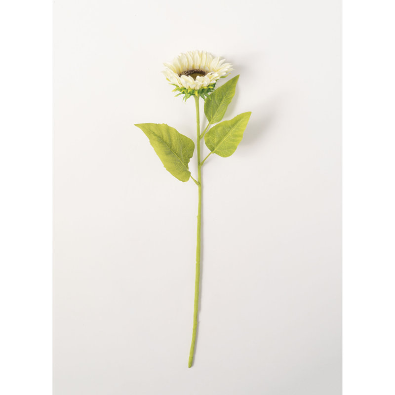 Tige de tournesol