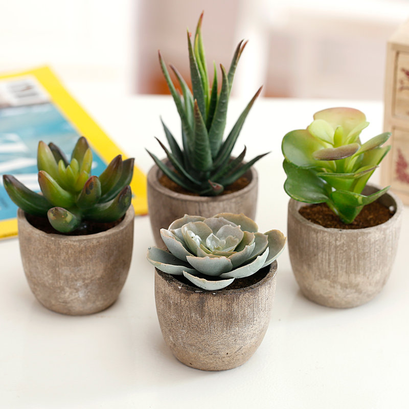 3.5'' Faux Succulent in Pot