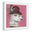 Llama Animals-47565713-47565723