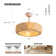Quebisha 20'' Boho Caged Ceiling Fan with Light Kit and Remote Control