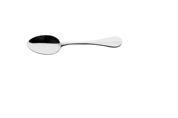 Blois Stainless Steel Serving Spoon