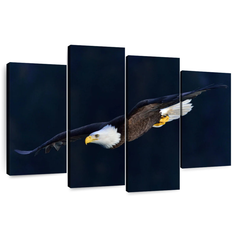 Brampt Aerodynamic Eagle, 32"H x 52"W