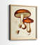 «Mushroom Variétés VI», reproduction encadrée de qualité supérieure - prête à être accrochée - aucun clou requis - aucun clou requis-577137959-577137961