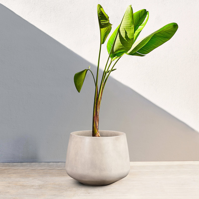 Medium White Planter Of Lightweight Concrete, 8" H X 10" W L, Modern Design For Plant Display Concrete Round Planter, Size And Functional Home Planting