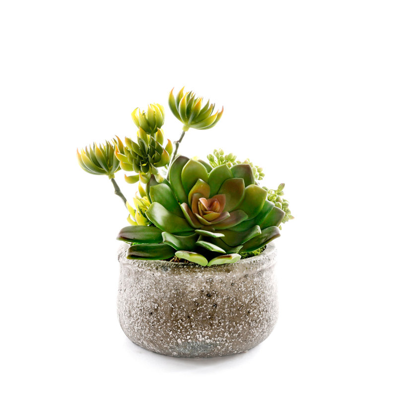 Faux Succulent Plant in Ceramic Planter