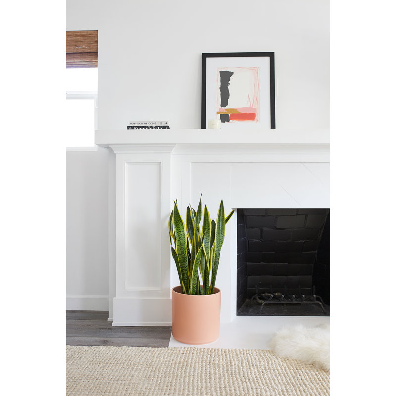Stoneware Pot Planter, Peachy Cotta, 11.25" H x 11.25" W x 11.25" D
