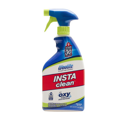 Woolite Instaclean Stain Remover - 22 Oz