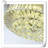 Museau Ceiling Fan with LED Lights-110063107