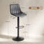 Kait Upholstered Adjustable Height Counter Stool with Metal Frame-1398421215