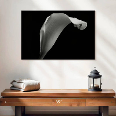 Monochrome Calla Lily