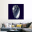 « Indigo shells V » par vision studio-impression-567973459-567973487