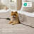 Bedsure Quilts - Lightweight Bedspreads with Lucky Star Quilting, Soft Quilt Bedding Set-124979724-124979725