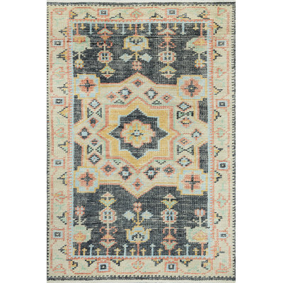 Capriola Hand Knotted Southwestern Indoor Rug