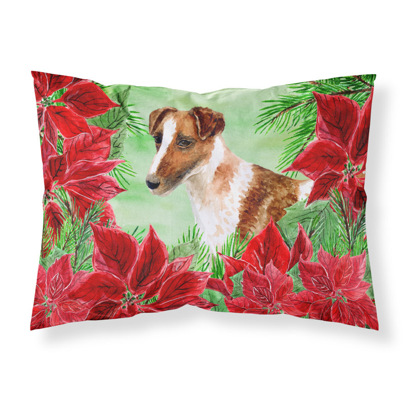 Microfiber, Smooth Fox Terrier