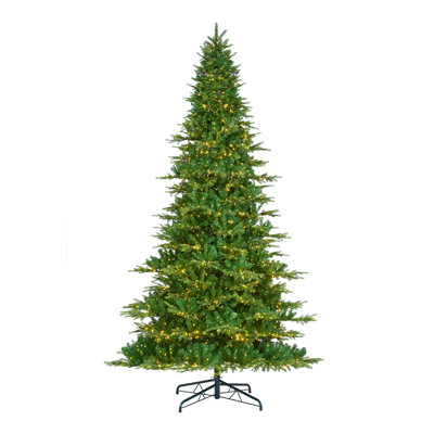 Mcdaniel 11' Pre-Lit Fir Christmas Tree