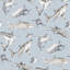 Kids and Teens Collection Sharks Wallpaper Roll-2020457483