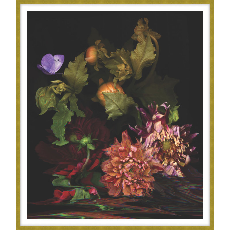 Night Dahlia 1 Print, 16.5" H x 14.5" W