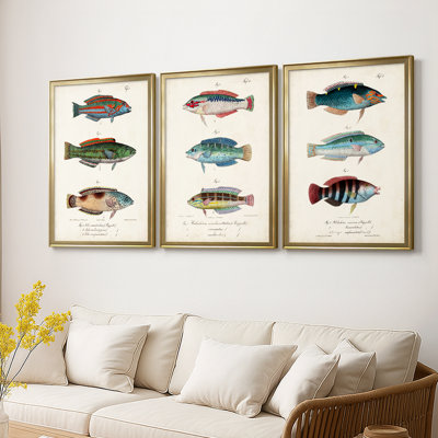 Antique Fish Trio I - Toile tendue avec châssis sur mesure - 3 pièces
