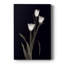 Tulipe Pose I - galerie sur mesure
