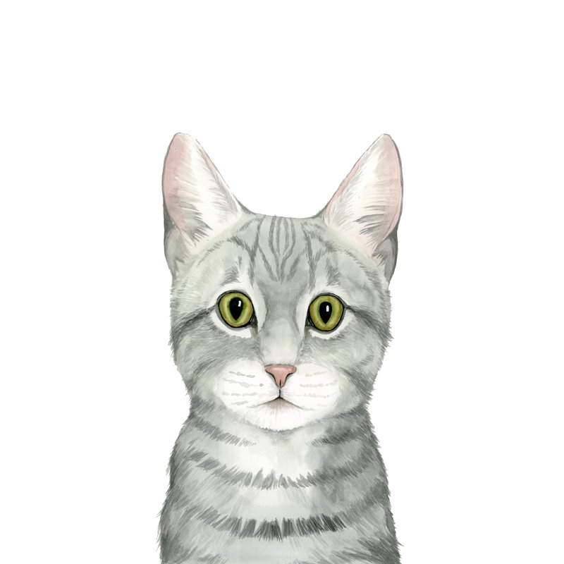 Portrait de chat III, H 30 po x l 20 po x P 1,25 po