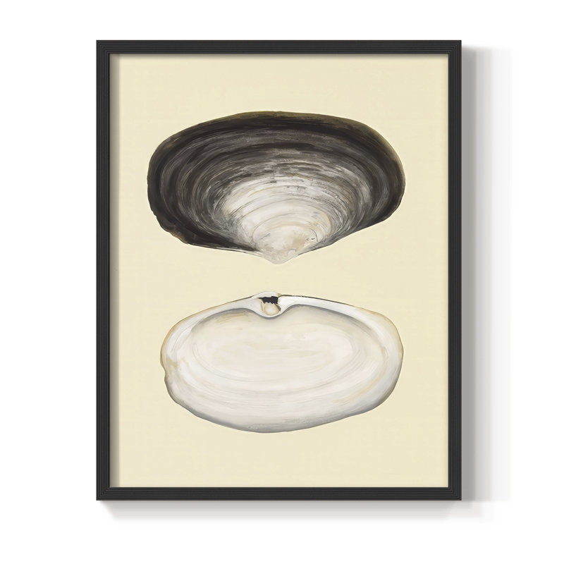 Reproduction encadrée de coquilles bivalves II - bois massif, H 15 po x l 12 po, Noir, noir, noir, noir