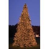 Pre-Lit Olympia Pine Artificial Giant Commercial Tower Christmas Tree - Warm White LED Lights