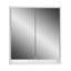 Carousel 48cm x 53cm Surface Mount Mirror Cabinet