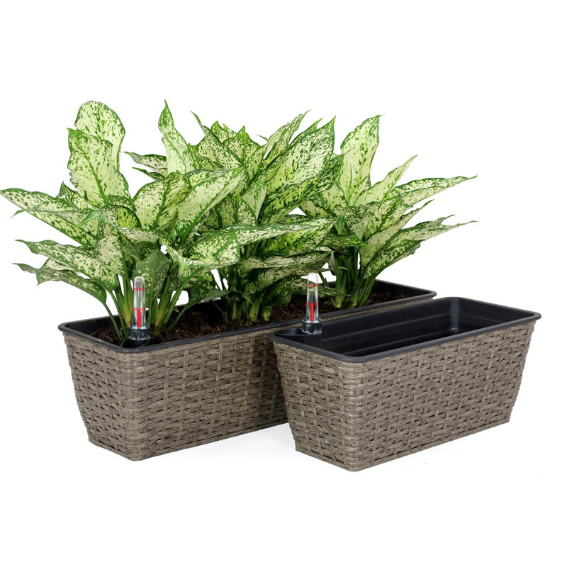 2-Pack Self-watering Planter, Dark Gray