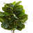 48 " H Faux Boxwood Tree in Ceramic Planter