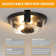 Dcaildz 2 -light Round Shade Outdoor Flush Mount Ceiling Lights with Motion Sensor