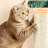 Dainel Multi-Level Cat Tree-88079763
