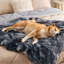 Coman Pet Blanket-1292099746