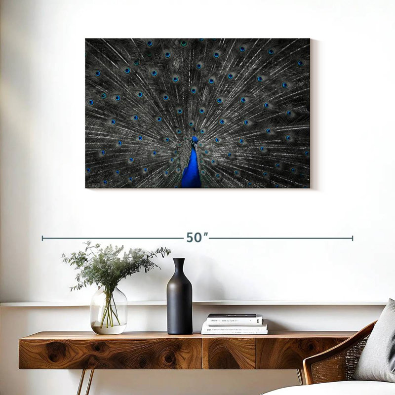 Plume de paon bleu Crowle, H 24 po x l 36 po